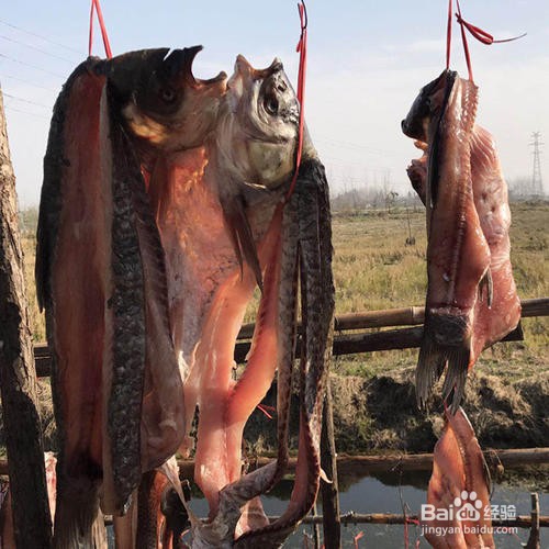 怎样用新鲜的鱼做腌鱼?