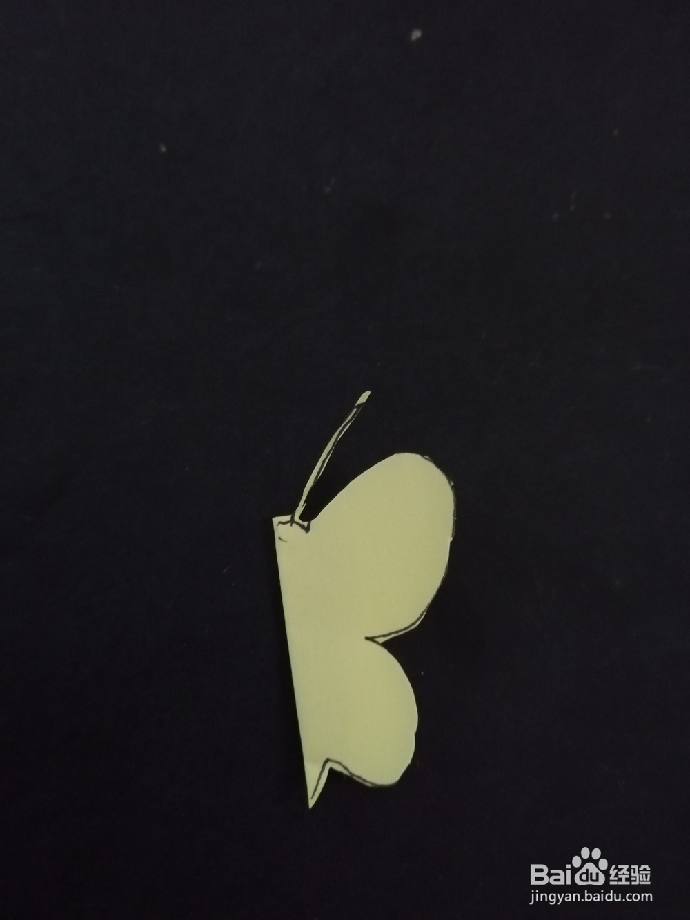 美丽的蝴蝶怎么剪