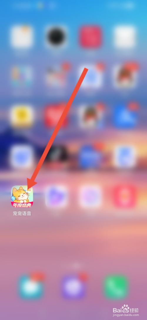如何在宠宠语音提交意见反馈