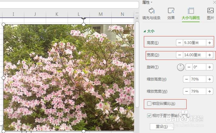 怎样把多张图片最大化地打印到一张A4纸上