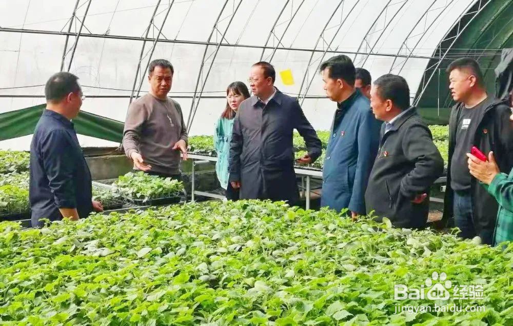 应该如何为群众办实事？