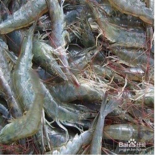 虾怎么去腥味