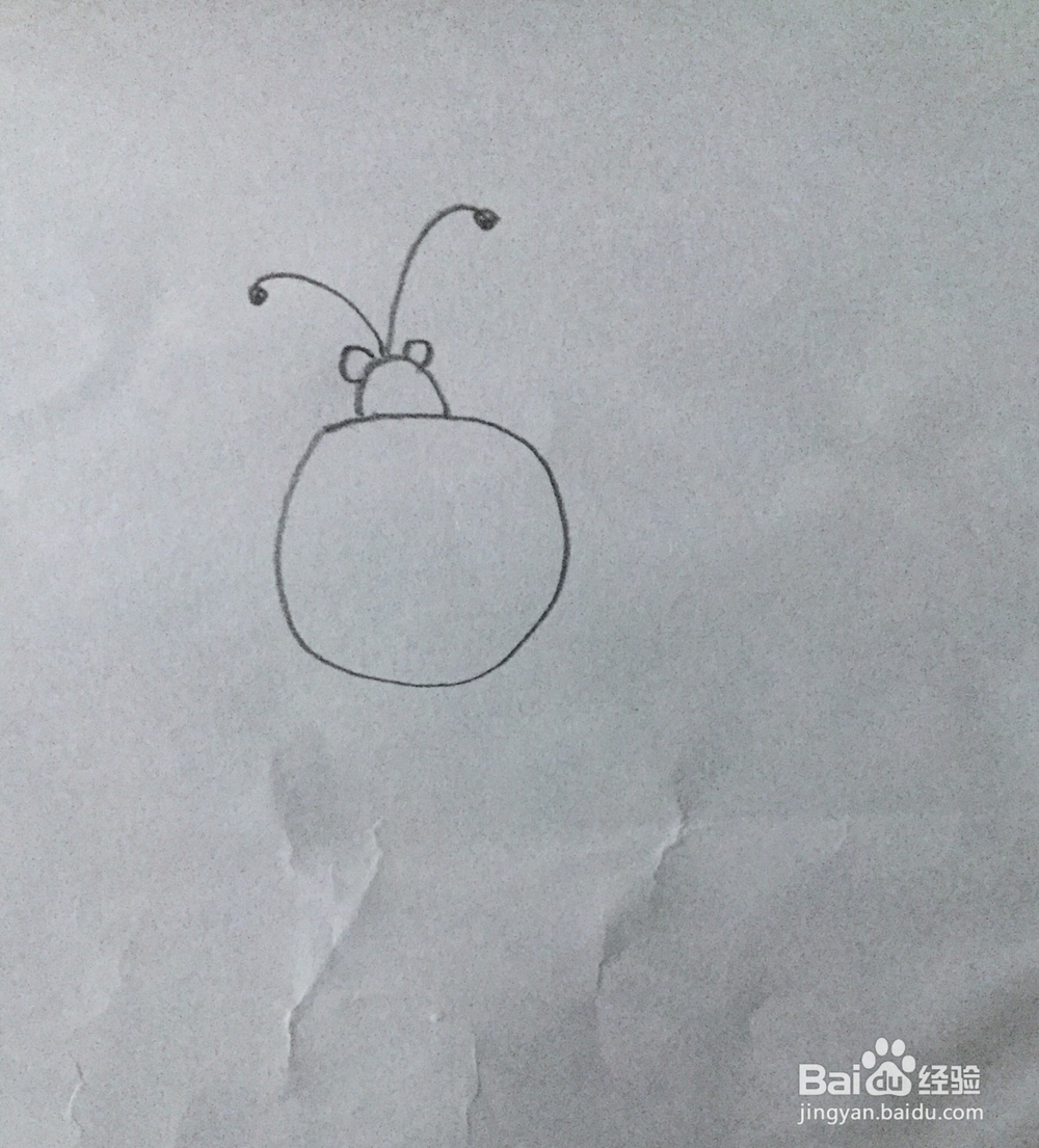简笔画七星瓢虫的画法