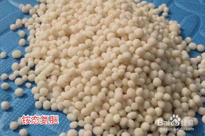 铵态氮肥与尿素有什么区别