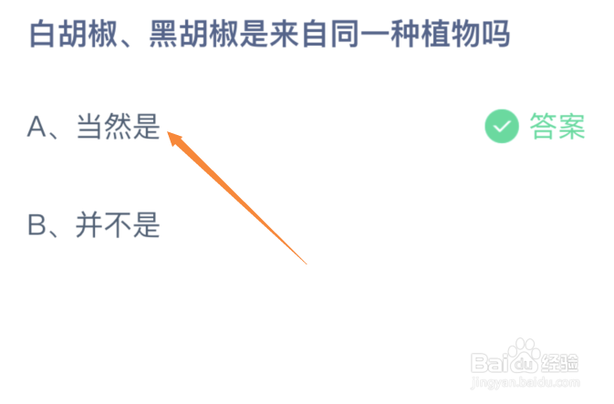 白胡椒黑胡椒是来自同一种植物吗