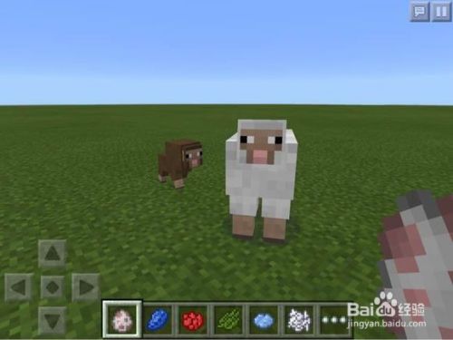 Minecraft如何给羊染色 百度经验 Minecraft如何给羊染色 百度经验