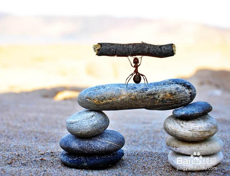 如何在该奋斗的年纪去好好努力一把？