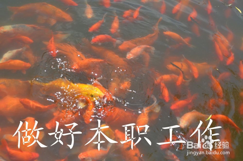 如何当好人民公仆