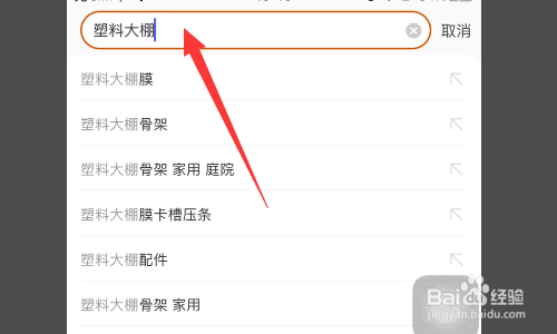 室外铜钱草怎么过冬
