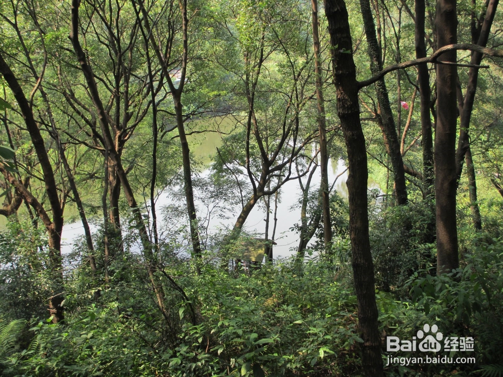 如何快速释放个人压力