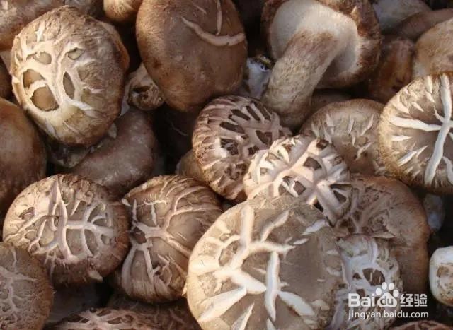 鲜香菇和干香菇,哪种营养更高?