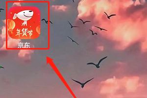 京东怎么搜索个体清洁用品？