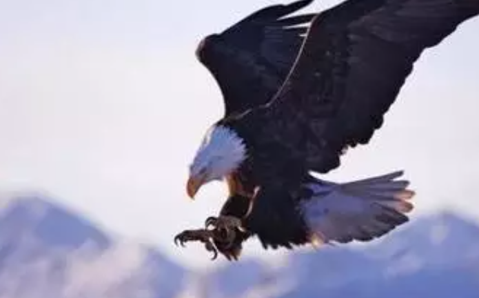 关于磨练的名言