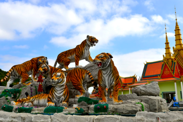 关于《美丽的五虎岛》的作文