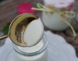 自制酸奶的做法