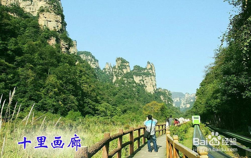 张家界自助游客栈