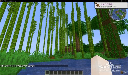 我的世界竹林怎么找 百度经验
