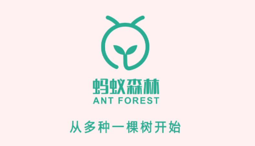 91克能量怎么来的