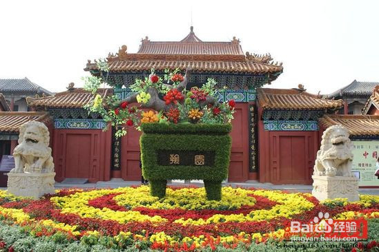 最新开封菊展旅游攻略