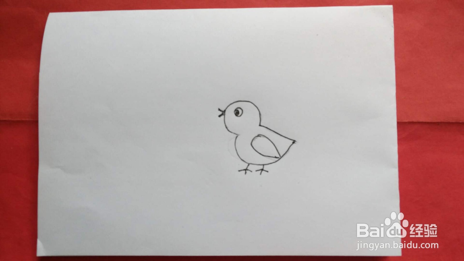 小鸡简笔画图片彩色
