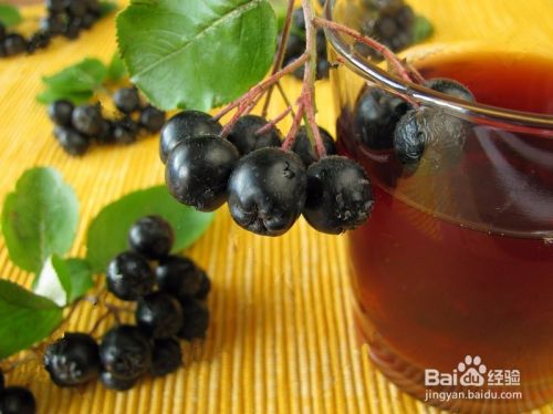 不老莓果汁-家庭天然果汁自制做法