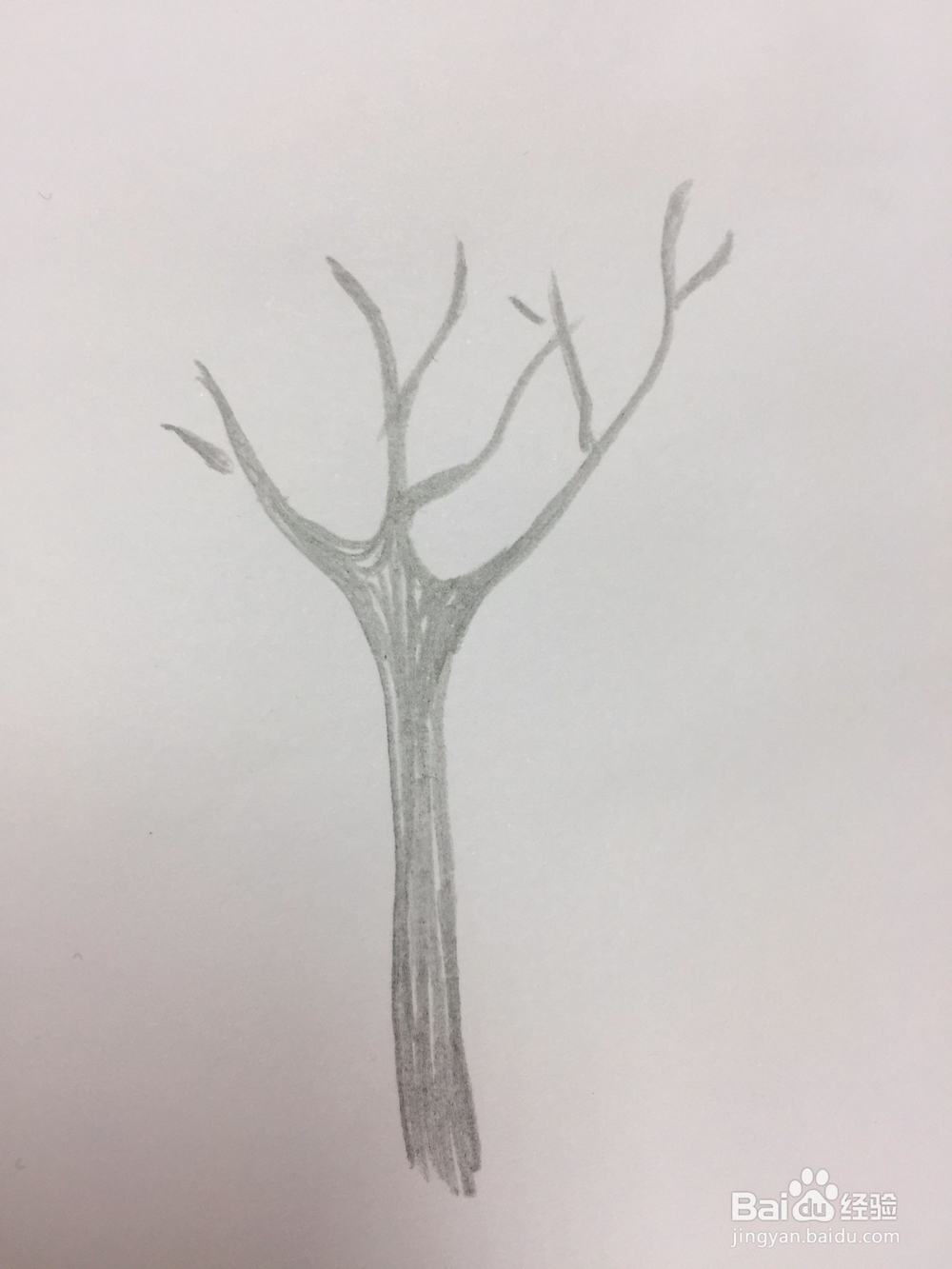 马克笔画樱花树教程