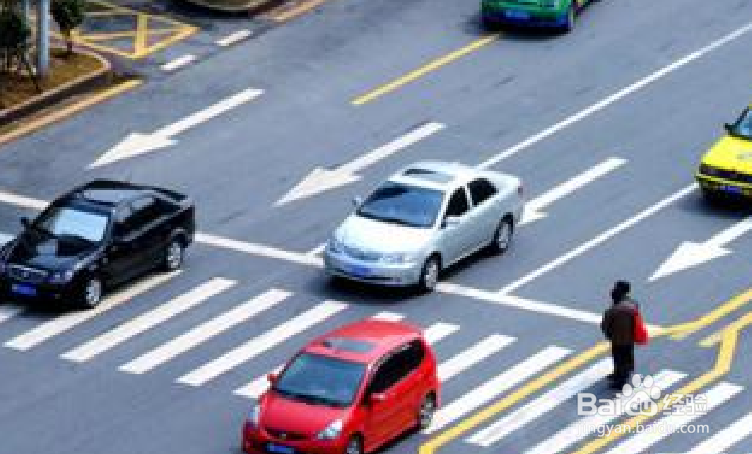 行人如何礼让斑马线