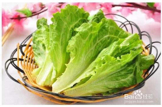 兔子能吃什么蔬菜