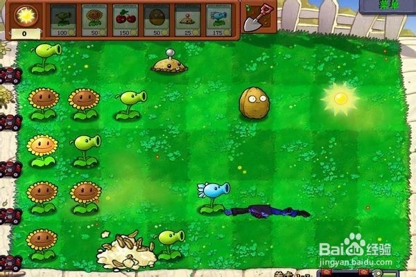 植物大战僵尸通全关的攻略。（七）