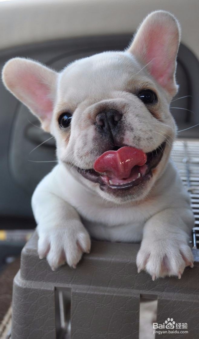 如何追女生：和喜欢的女生没话说怎么办！！！