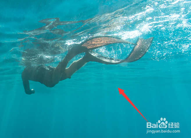 win10桌面背景怎么换