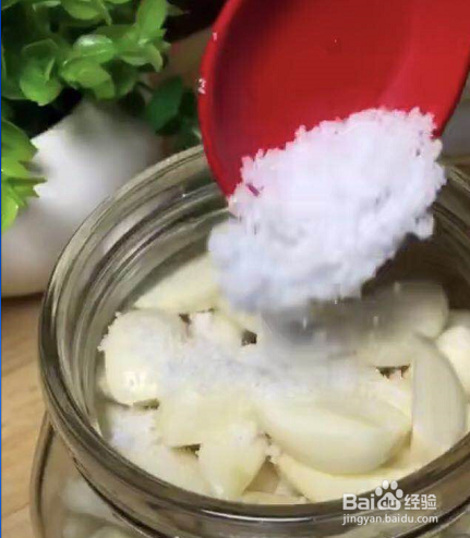 简单易做好吃的腊八蒜