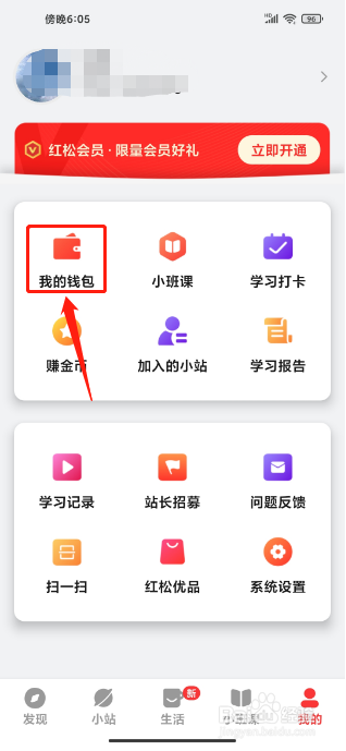 红松极速版APP怎么充值松果