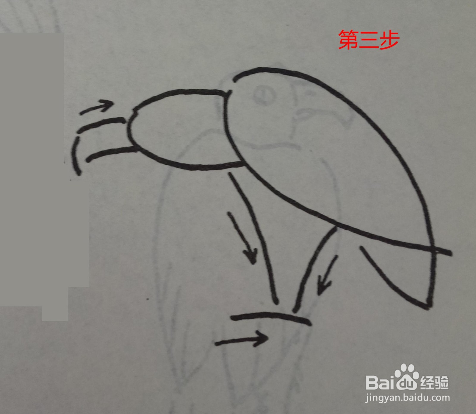 鹰的简笔画的画法