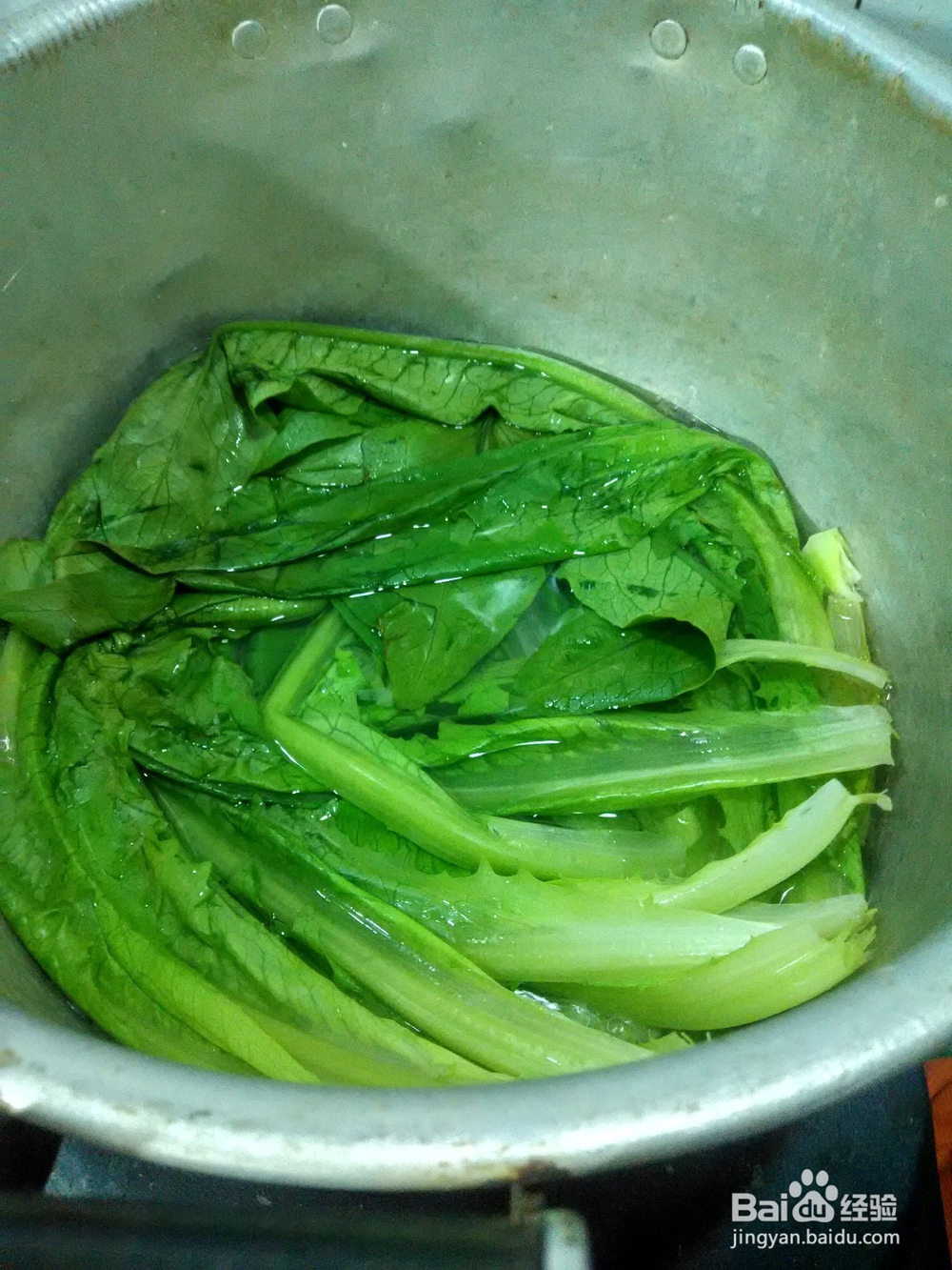 油麦菜拌阿波罗