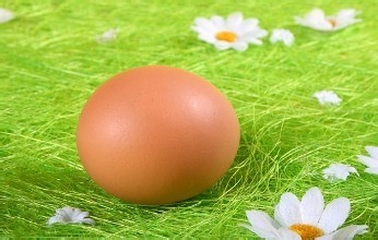 如何认知养肝的食物