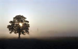 高三如何复习准备高考？