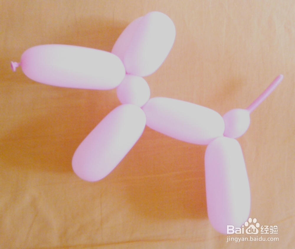 魔术气球——小狗的制作方法