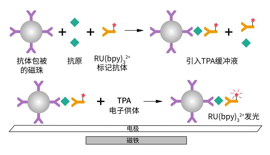 化学发光法是几代