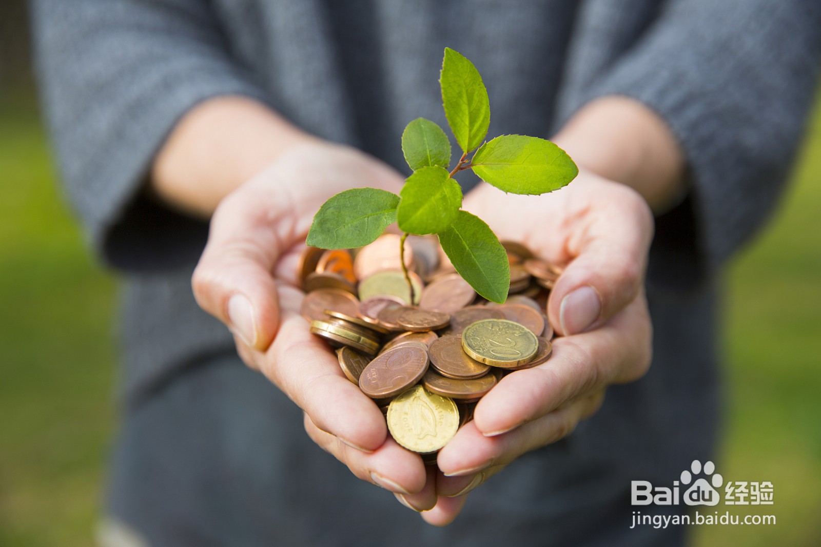 支付宝基金的三种类型