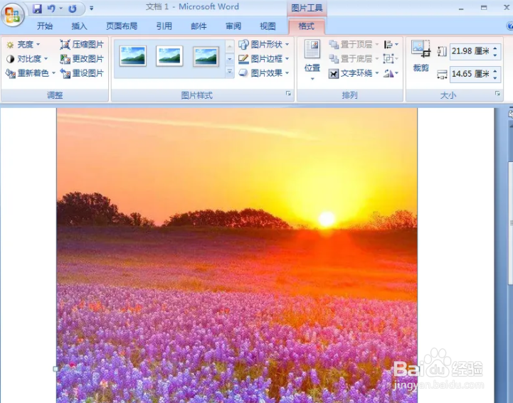 Word中如何为图片添加松散透视效果
