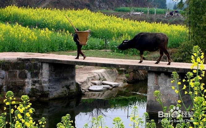 怎样缓解压力，预防上火
