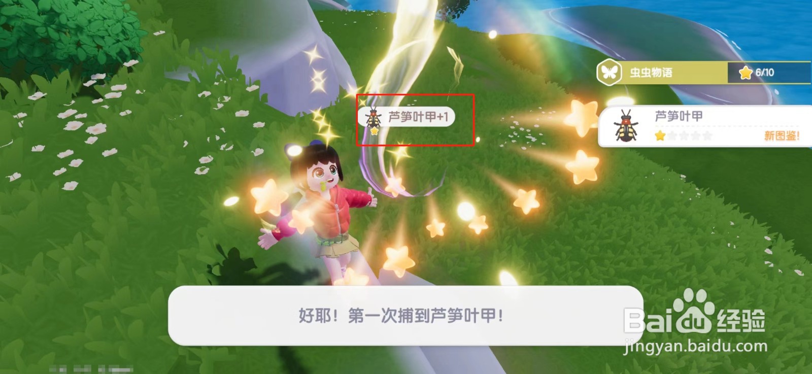 心动小镇芦笋叶甲在哪里捕捉