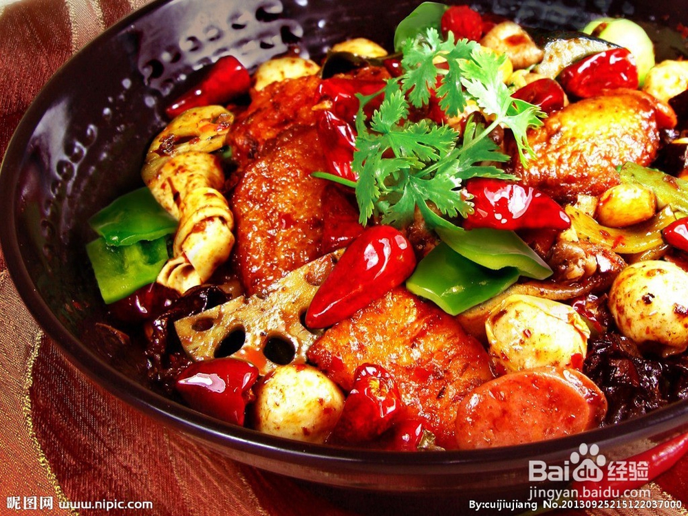 巧克力色泰迪怎么养才不褪色