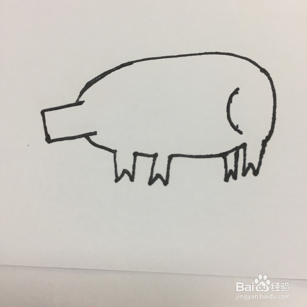 猪的简单画法
