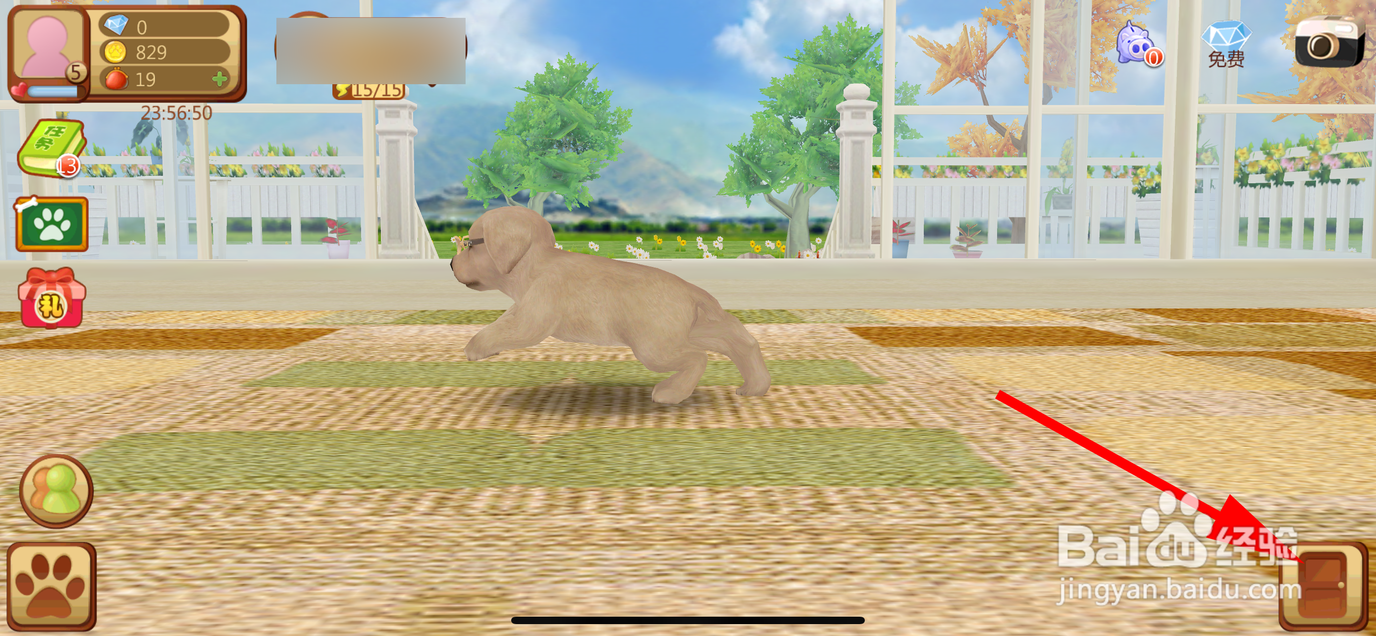 心动小狗怎么进入后院