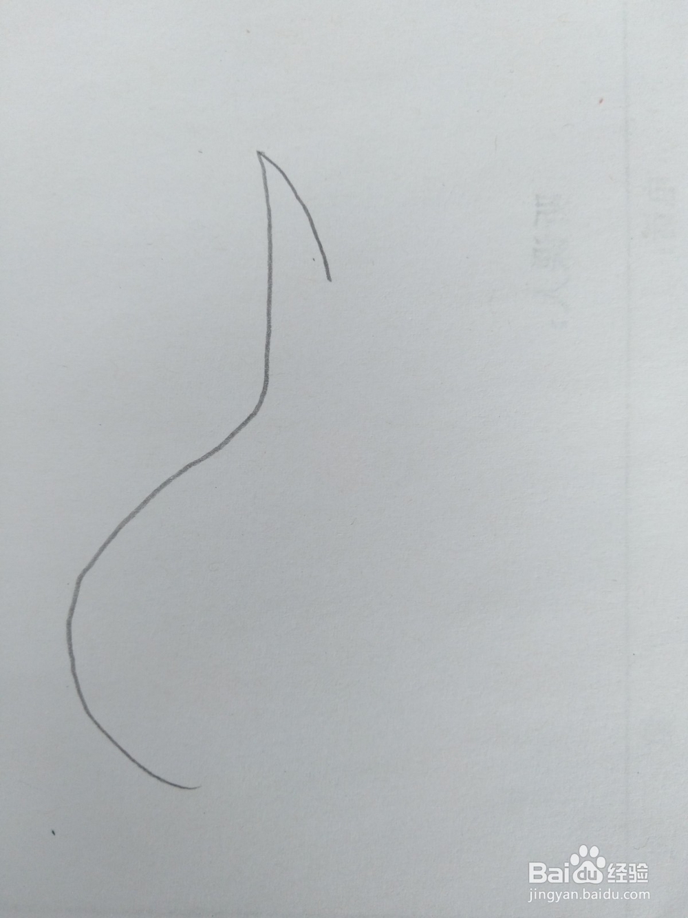 简笔画大蒜画法二