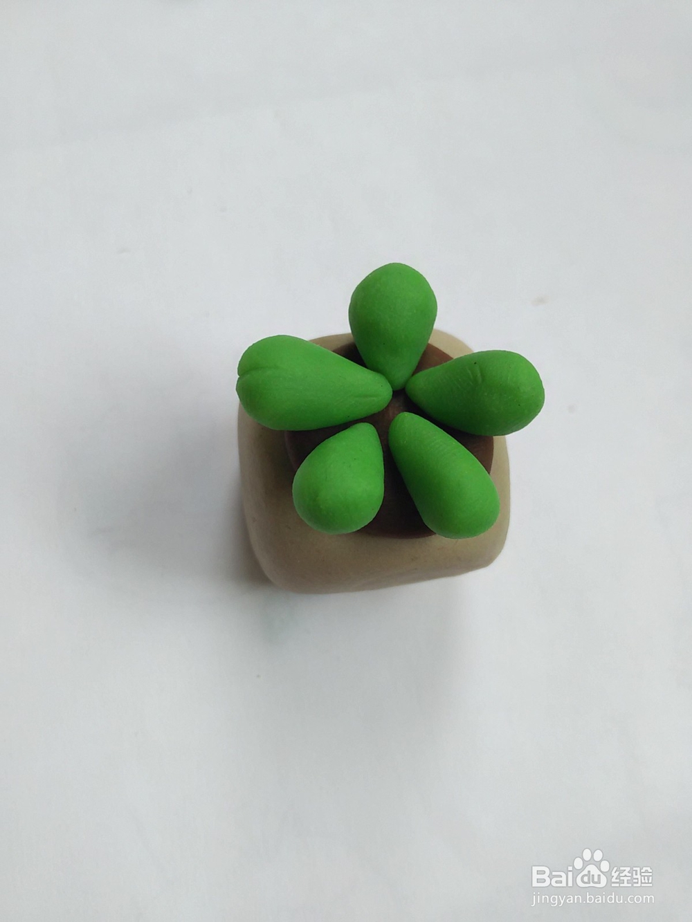 绿色多肉小盆栽怎么做