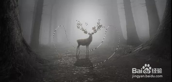 PS:合成一个奇幻神秘的森林场景(下)
