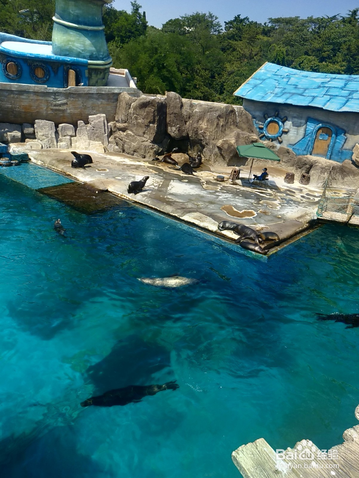 大连老虎滩一日游攻略